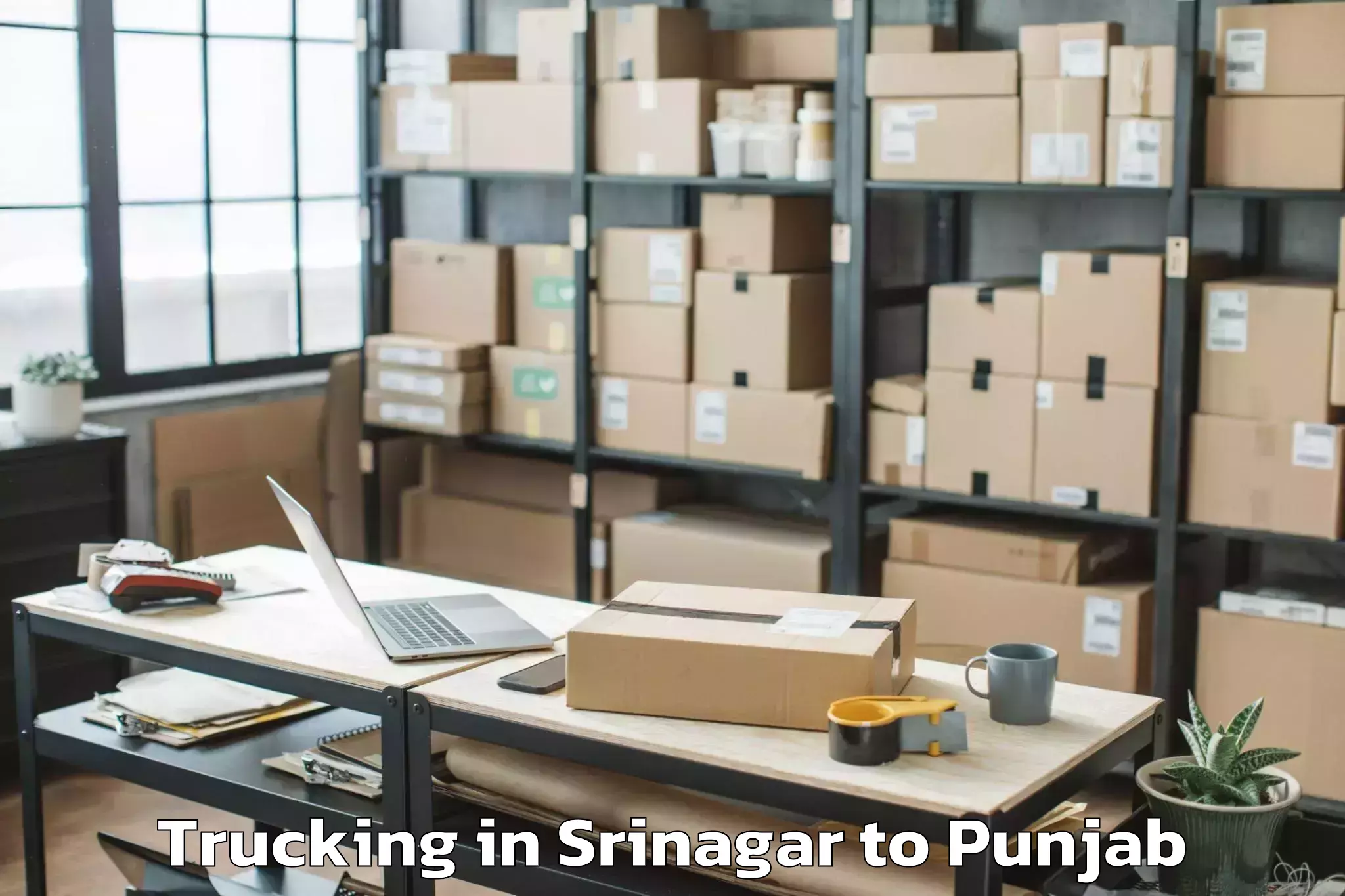 Hassle-Free Srinagar to Sanaur Trucking